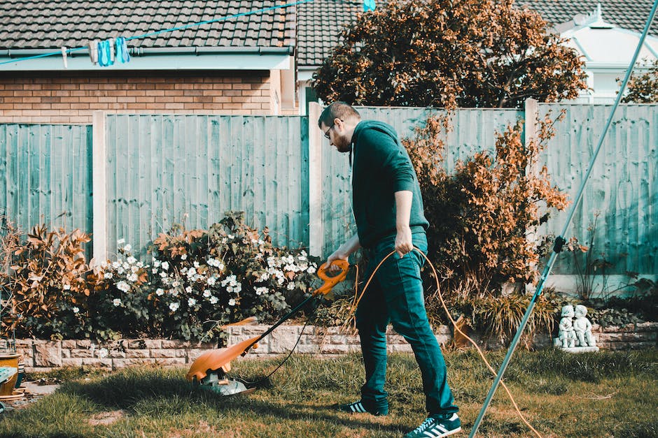 Image of a person maintaining a lawn to prevent ant infestations